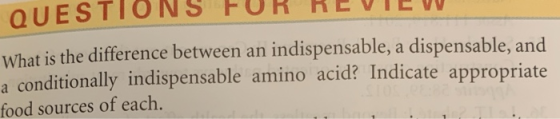 OUESTTUNS FUR nev What is the difference between an indispensable, a dispensable, and a conditionally indispensable amino aci