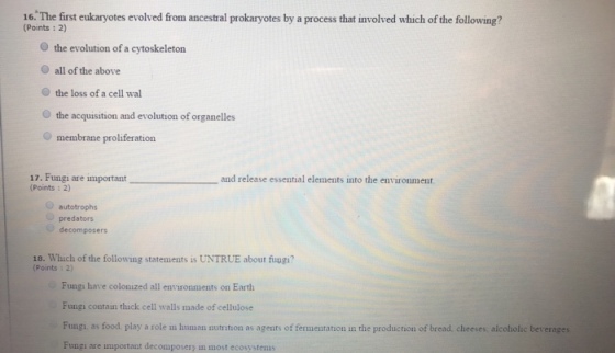 16. The fist ukaryotes evolved from ancestral rokaryotes by a process tat nwolved which of the following? (Points : 2) O the evolution of a cytoskeleton O all of the above the loss of a cell wal the acquisition and evolution of organelles O membrane proliferation 17. Fungi are importantーーーーーーーーーand release essential elements into the environment. (Points : 2) Po Fungae npothatand autotrophs predators decomposers 18. Which of the following statements is UNTRUE about fiungi? (Points : 2) Fungi have colonized all environments on Earth Fungi contain thick cell walls made of cellulose Fungi as food play a ras ap f aibread diries alcodosil berages Fungi are important decomposers in most ecosystems