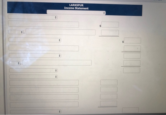 LARKSPUR Income Statement