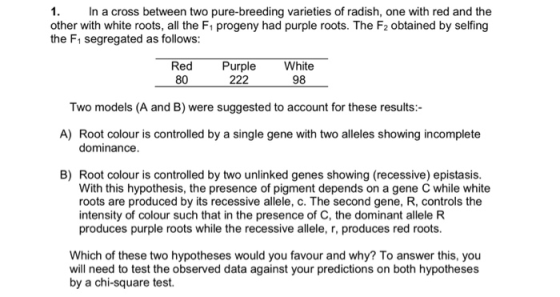 1. In a cross between two pure-breeding varieties of radish, one with red and the other with white roots, all the F1 progeny