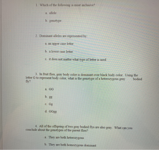 1. Which of the following is most inclusive? a. allele b. genotype 2. Dominant alleles are represented by: 11 a. an upper cas