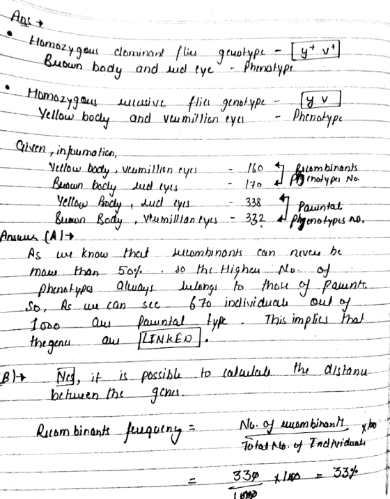 Homoz own bodu and Jud lyt hrnokypr 219 yellow bo Phcnotypt Vetlw boaly , vhmilltn ty Rauom binanis <holypi Ne- tyiJ 0 Paumt