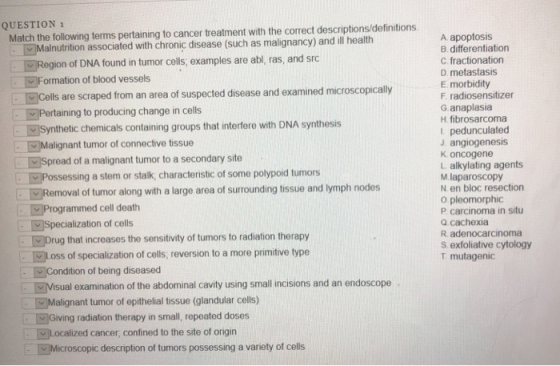QUESTION 1 Match the following terms pertaining to cancer treatment with the correct descriptions/definitions. A apoptosis B