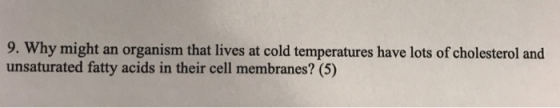 9. Why might an organism that lives at cold temperatures have lots of cholesterol and unsaturated fatty acids in their cell membranes? (5)