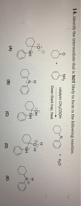 14. Identify the intermediate that is NOT likely to form in the following reaction. NH2 catalytic CH3COOH + H2O Dean-Stark tr