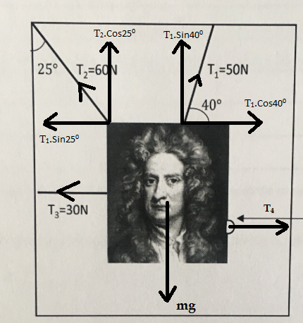 T2.Cos250 T.Sin40 T,-50N 40° T.Cos40° Ti.Sin25° T3-30N T4