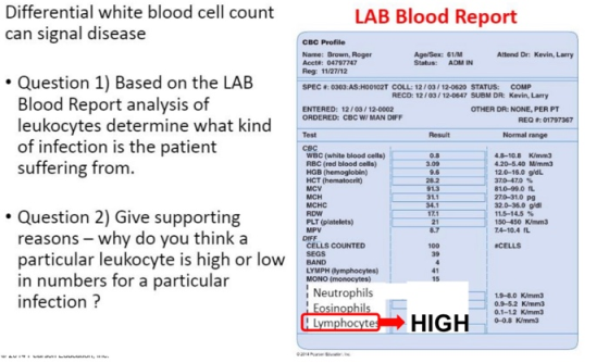 Differential white blood cell count can signal disease LAB Blood Report CBC Profile Name: Brown, Roger Acct: 04797747 Reg: 11