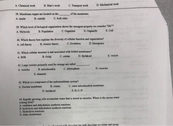 A. Chemical work B. Mans work C. Transport work D. Mechanical work 38. Membrane sugars are located on the _ of the membrane