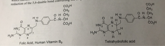 WHILI reduction of the 5,6-duuble bond converting to COH CH2 COH CH2 OH CH2 -Ć-N-CH COCH онін, a Ć-N-CH COH H 10 o= on Z-I N