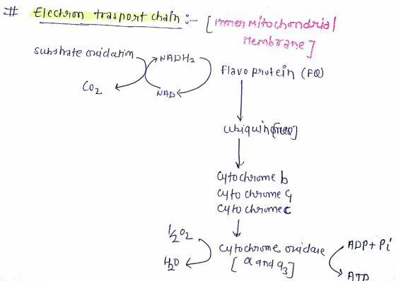 tembrane Co 2. Cyto chsiumeb 04 to chme 0 ATD