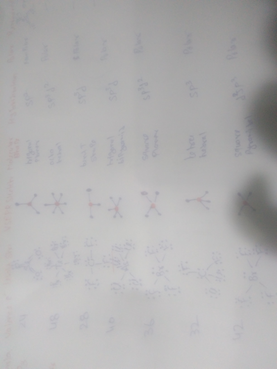 Ch Aons Y CE Sp RH 82 Sn tas
