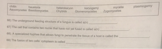 chitin haustoria Ascomycetes Basidiomycetes plasmogamy heterokaryon Chytrids karyogamy Glomeromycetes mycelia Zygomycetes 66)