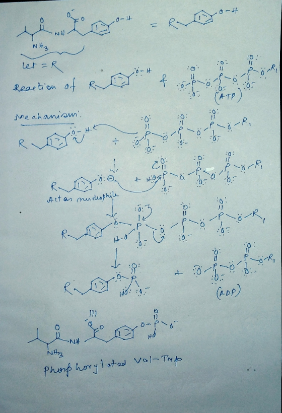 :0 let - R co-H :0 PR 1 Reaction 10. ra Mechanism LLC o + 0 0 * V OSO P ProrR, + OS! Actas nucleophile 03 DP -0 LO 0 tp 1. Si