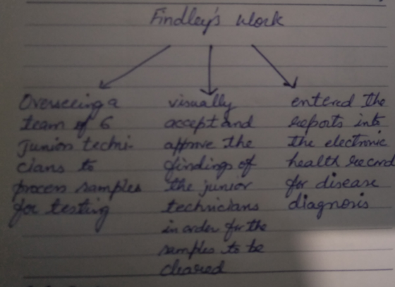 Findleys work Ovesseling a team of 6 Junion techi clans to process samples por testing visually accept and affrove the findi