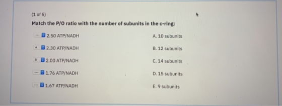 (1 of 5) Match the P/O ratio with the number of subunits in the c-ring: - D2.50 ATP/NADH A. 10 subunits A D 2.30 ATP/NADH B.