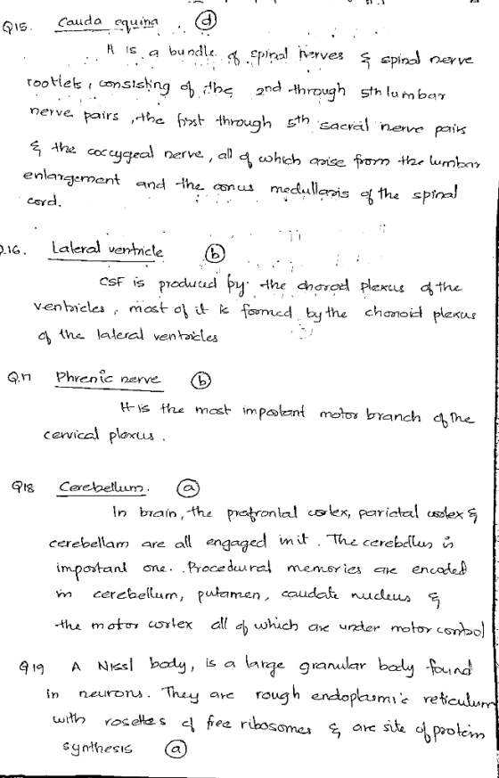 Qis. Cauda equina. @ ..H.S. a bundle. f. spinal barves ş spind nerve roottels, consishing of the end through sthlumbar nerve
