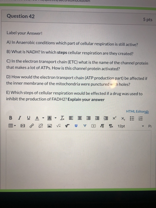 Own Question 42 5 pts Label your Answer! A) In Anaerobic conditions which part of cellular respiration is still active? B) Wh