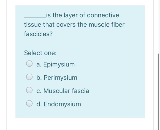 _is the layer of connective tissue that covers the muscle fiber fascicles? Select one: O a. Epimysium O b. Perimysium O c. Mu