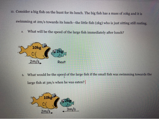 10. Consider a big fish on the hunt for its lunch. The big fish has a mass of 10kg and it is swimming at 2m/s towards its lun