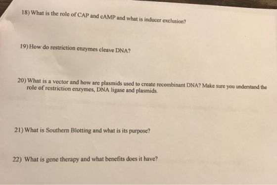 18) What is the role of CAP and cAMP and what is inducer exclusion? 19) How do restriction enzymes cleave DNA? 20) What is a vector and how are plasmids used to create recombinant DNA? Make sure you understand the role of restriction enzymes, DNA ligase and plasmids. 21) What is Southern Blotting and what is its purpose? 22) What is gene therapy and what benefits does it have?