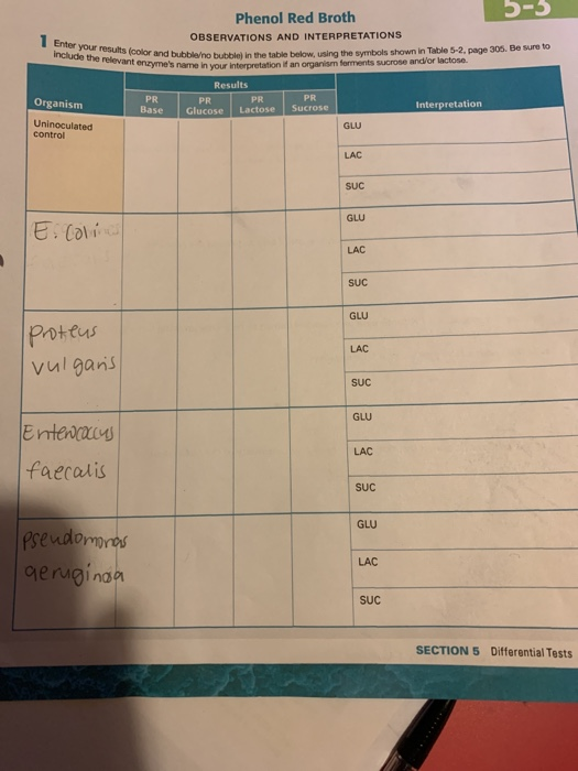 5-3 Enter your results color and bubble/no include the relevant enzymes name in your Phenol Red Broth OBSERVATIONS AND INTER