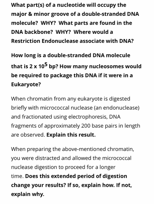 What part(s) of a nucleotide will occupy the major & minor groove of a double-stranded DNA molecule? WHY? What parts are foun