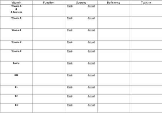 Vitamin Vitamin A Deficiency Toxicity Function Sources Plant: B-Carotene Vitamin D Plant Vitamin E Plant Vitamin K Plant: Vit