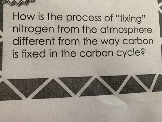 How is the process of fixing nitrogen from the atmosphere different from the way carbon is fixed in the carbon cycle?