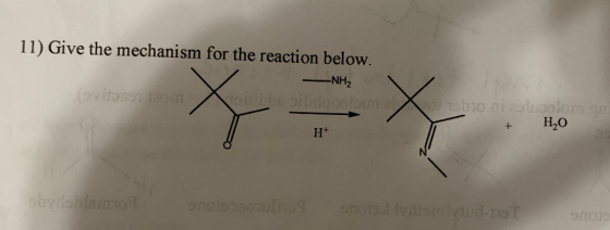 11) Give the mechanism for the reaction below. NH₂ (vitosono + H2O obersbismo onosanoafroshotellitud hot moja
