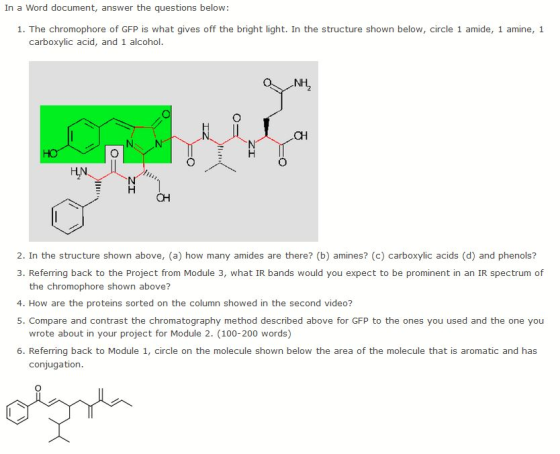 In a Word document, answer the questions below: 1. The chromophore of GFP is what gives off the bright light. In the structure shown below, circle 1 amide, 1 amine, 1 carboxylic acid, and 1 alcohol. CH E H HN CH 2. In the structure shown above, (a) how many amides are there? (b) amines? (c) carboxylic acids (d) and phenols? 3. Referring back to the Project from Module 3, what IR bands would you expect to be prominent in an IR spectrum of the chromophore shown above? 4. How are the proteins sorted on the column showed in the second video? 5. Compare and contrast the chromatography method described above for GFP to the ones you used and the one you wrote about in your project for Module 2. (100-200 words) 6. Referring back to Module 1, circle on the molecule shown below the area of the molecule that is aromatic and has conjugation