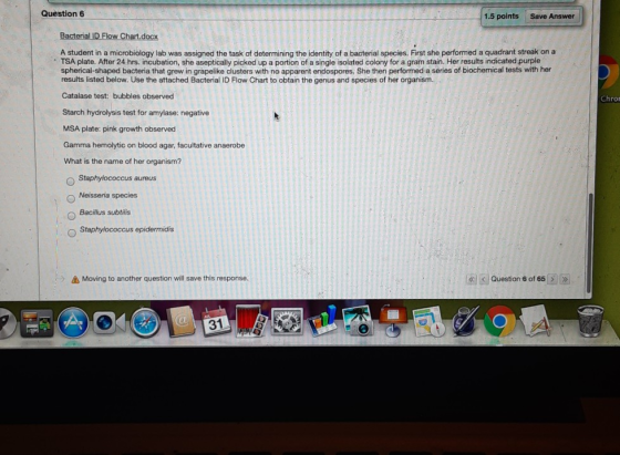 Question 6 1.5 points Save Answer Bacterial ID Flow Chart.docx A student in a microbiology lab was assigned the task of deter