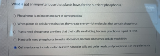 What is not an important use that plants have, for the nutrient phosphorus? O Phosphorus is an important part of some protein