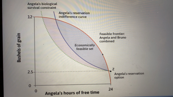 Angelas biological survival constraint Angelas reservation 12 indifference curve Feasible frontier: Angela and Bruno combin