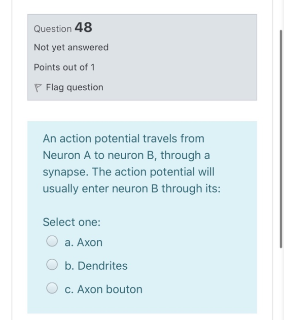 Question 48 Not yet answered Points out of 1 P Flag question An action potential travels from Neuron A to neuron B, through a
