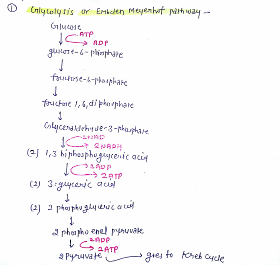 G1ly cose ATP ADP fauctose-6-phosphae. Тач uroe 1,6,di phosphate Colycenaldehyde-3-pho.phare 2. OTP