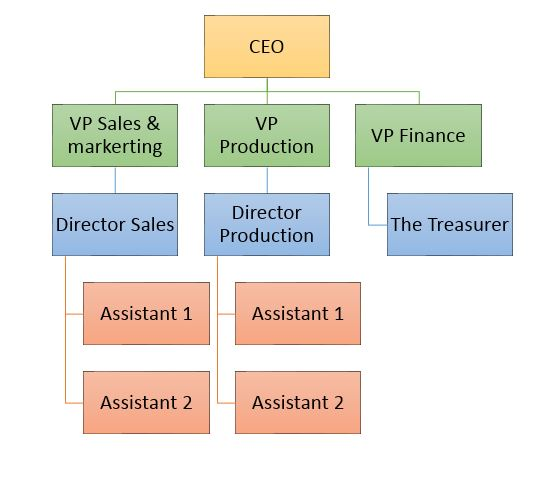 CEO VP Sales & markerting VP Production VP Finance Director Production Director Sales The Treasurer Assistant 1 Assistant 1 Assistant 2 Assistant 2