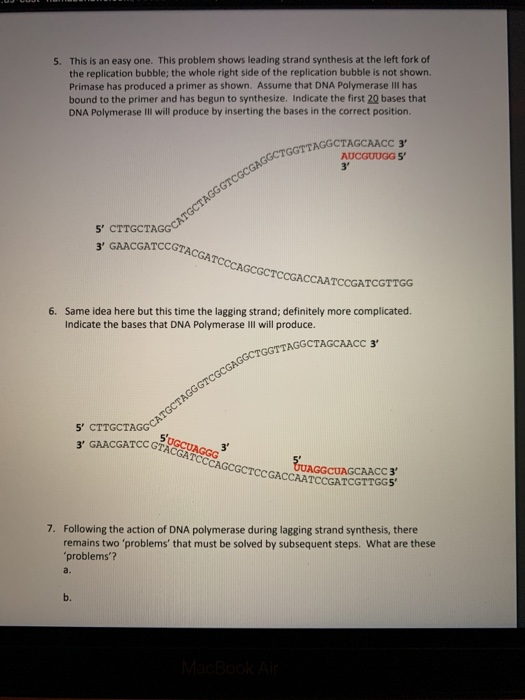 5. This is an easy one. This problem shows leading strand synthesis at the left fork of the replication bubble; the whole rig
