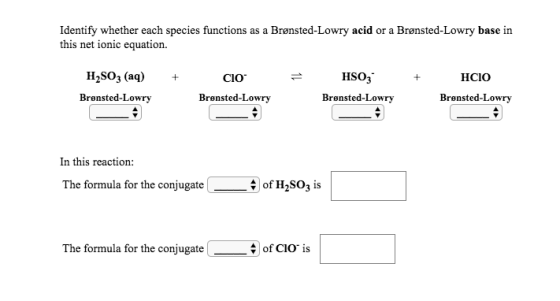 Identify whether each species functions as a Brønsted-Lowry acid or a Brønsted-Lowry base in this net ionic equation. + CIO =