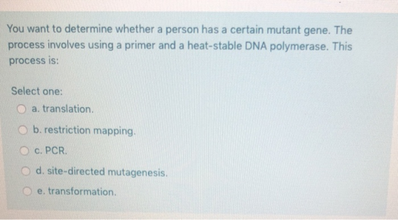 You want to determine whether a person has a certain mutant gene. The process involves using a primer and a heat-stable DNA p