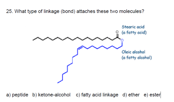 25. What type of linkage (bond) attaches these two molecules? Stearic acid o (a fatty acid) Oleic alcohol (a fatty alcohol) a