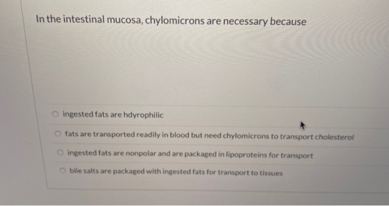 In the intestinal mucosa, chylomicrons are necessary because ingested fats are hdyrophilic fats are transported readily in bl
