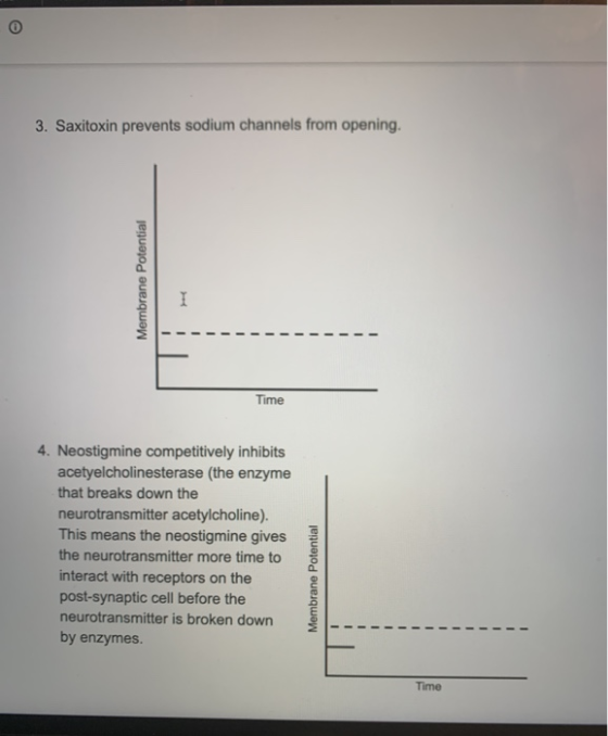 3. Saxitoxin prevents sodium channels from opening. Membrane Potential - - - - - - - - Time 4. Neostigmine competitively inhi