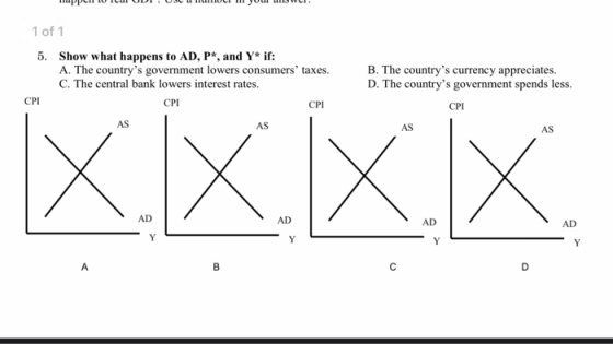 PHILIULUDL. USCL HILTIULI YUL 1 of 1 5. Show what happens to AD, P*, and Y* if: A. The countrys government lowers consumers