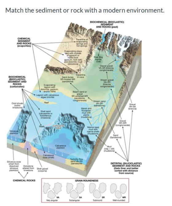 Match the sediment or rock with a modern environment. BIOCHEMICAL (BIOCLASTIC) SEDIMENT AND ROCKS peat CHEMICAL SEDIMENT AND