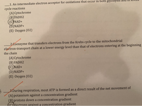 e 1. An intermediate electron acceptor for oxidations that occur in both glycolysis and m cycle reactions (A) Cytochrome (B)