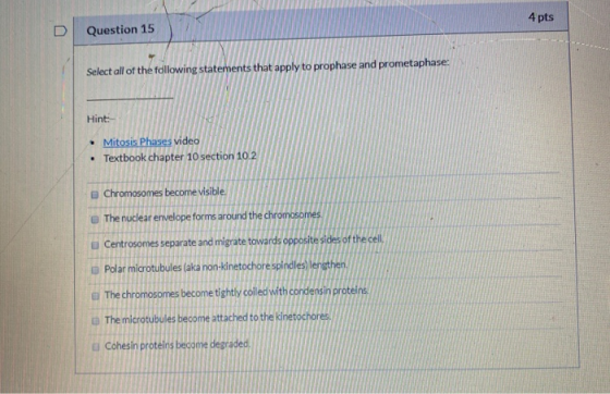 D Question 15 4 pts Select all of the following statements that apply to prophase and prometaphase: Hint: • Mitosis Phases vi