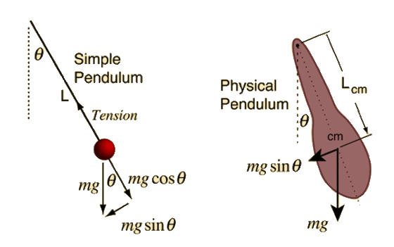 Simple Pendulum Physical: Pendulum cm Tension cm mg sin θ mgła ng cos θ mg sin θ mg