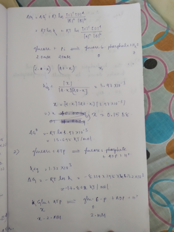 AG ZAG + R1 ly terroid и і ві z Rt luk + RT ln teic EDTA [+] в glease + Pi ② glucose 6-phosphale thao 2. О м омм Taj Кі, ја