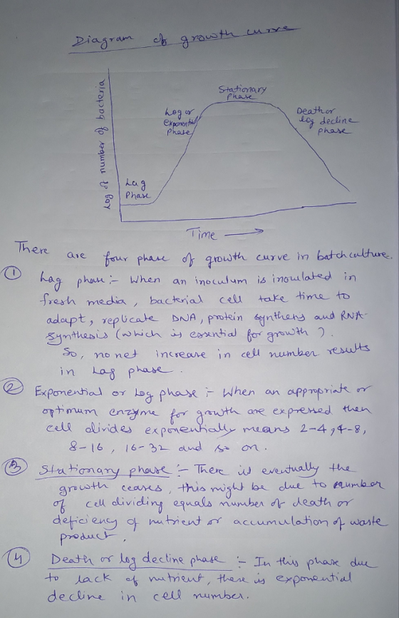 Statiのnary Deastho Los dedline ex Phase phasx Lo Pha Time There aie phase a phoe When an inoculum is inoul lated in resth mecia, bacta cel take time to adapt, rep Ucate DJA, proein nas So, no net increane in cell numbe Expomenhed er Ingens-X When dectine in ceiu number