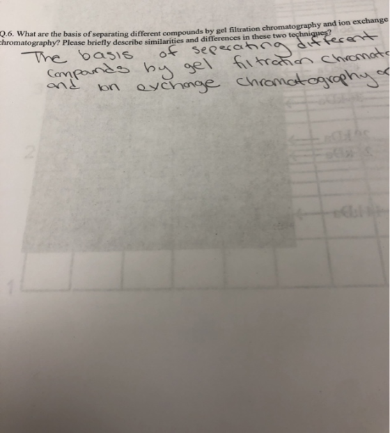 V.O. What are the basis of separating different compounds by gel filtration chromatography and von is by gel filtration chrom